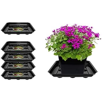 Curtis Wagner Plastics SQDS-1200B Carpet Saver Plant Tray Drip Pans (5-Pack) - Black, Square (Diameter = 12