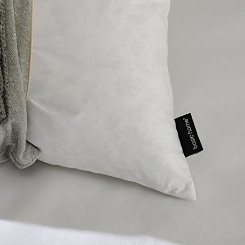 Basic home14x24 Decorative Throw Pillow InsertsDown Feather Pillow