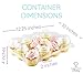 Chefible Premium Plastic Disposable 12 Cupcake Carrier Container Box, High Dome, Extra Sturdy For Easy Transport! 4 Pack