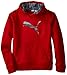 PUMA Boys' Big Cat Hoodie (Little Kid/Big Kid), Scooter, Large