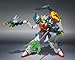Bandai Tamashii Nations Altron Gundam 