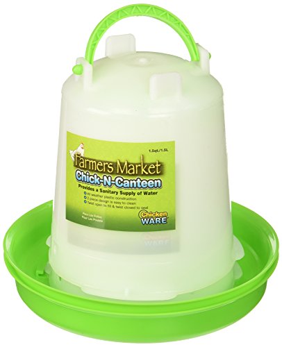 (2 Pack) Ware Farmers Market Chick-N-Canteen Bird Feeder, Size Small / 1 Quart Capacityl