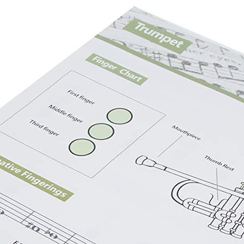 Trumpets Note Guide, Trumpet Chart Art Paper Scale Poster Clear For