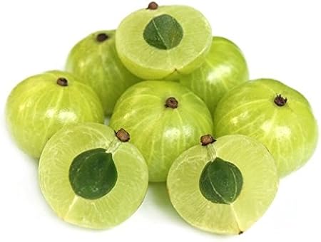 Amazon Com Tara Garden 20 Seed Indian Gooseberry Phyllanthus