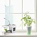 ALZERO USB Desktop Aquarium Fish Tank, Mini Fish Small Fry Tank Aquarium with LED Clock for Office Home Decor (White)thumb 3