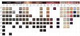 L'Oréal INOA 7.0 FUND 60GRM Permanent Ammonia Free Hair Colour V511 view 5