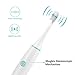 Ebelle Sonic Electric Toothbrush with Effective 31,000 Cleaning Vibrations per Minute. 2 Brush Heads, 4 Cleaning Modes, Built-in Timer, Runs up to 3 Weeks on Charge, 1 Hour Recharge, USB Cord