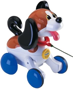 best non shedding large dogs