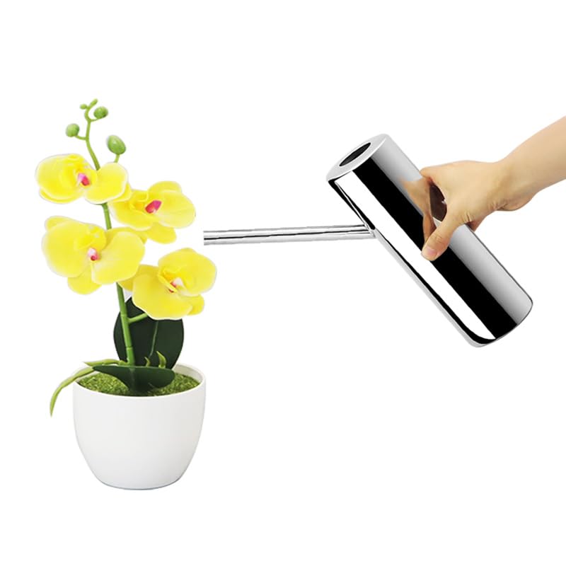 1.1L / 37oz Watering Can Vase Stainless Steel for Indoor Outdoor Use - Small Metal Mini Watering Can for Indoor Plants, House Plants, Bonsai, Herb Garden, Kitchen, Flower Pot, Long Spout Nose, Silver
