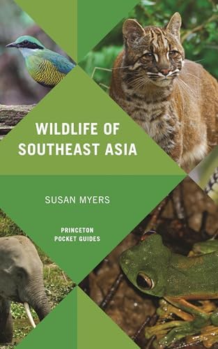 Field Guide to the Birds of South-East Asia (Helm Field Guides
