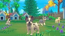 My Universe: Pets Edition