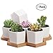 Succulent Planter, MoonLa 2.75 Inch Succulent Plant Pots, Set of 7 White Ceramic Hexagon Succulent Cactus Planter Pots with Bamboo Tray(Plants NOT Included)