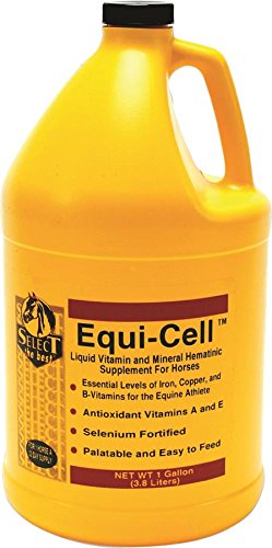 Richdel 784299131002 equi-cell vitamin & mineral, 1…