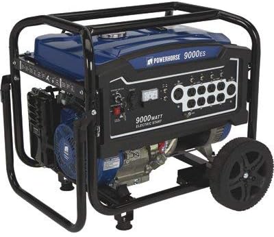 Powerhorse Portable Generator - 9000 Surge Watts, 7250 Rated Watts, Electric Start