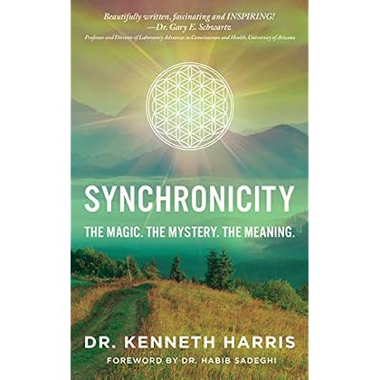 Synchronicity: The Magic. The Mystery. The Meaning.