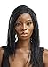 JBG SERVICES Micro Million Twist Wig – 12-inch Micro Twist Hair Wig – Hand-Braided Micro Twist Wig with 2x6 Lace Closure – Synthetic Twist Wigs for Black Women – Natural-Looking – Color (01)
