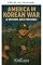 Livro A América na Guerra da Coreia: uma história só para crianças!