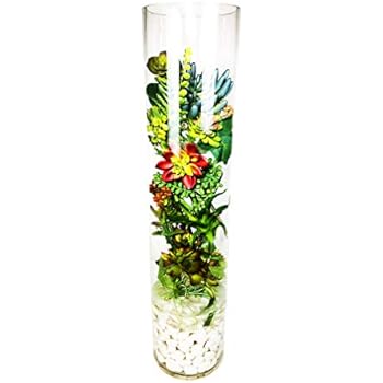 Amazon Com Cys Excel Glass Cylinder Vase Floating Candle Holder
