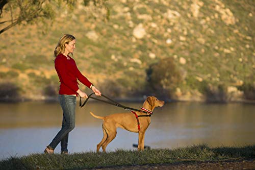 Halti Training Lead for Dogs - Image 4