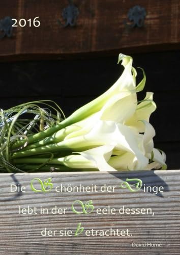 dicker TageBuch Kalender 2016 "Die Schönheit der Dinge lebt in der Seele dessen, der sie betrachtet." (David Hume): Endlich genug Platz für dein Leben! 1 Tag pro DIN A4 Seite