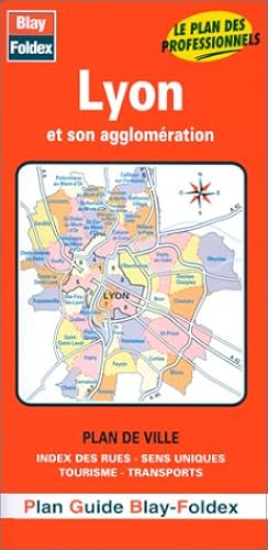 Download Lyon et son agglomération PDF