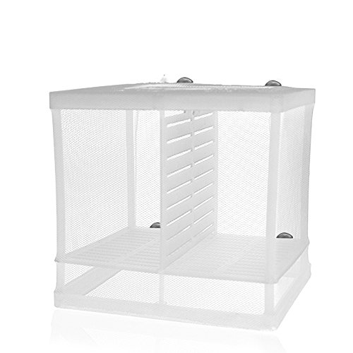 6 Kangkang+Aquarium+Incubator+Equipment+Isolation