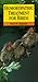 Homoeopathic Treatment for Birds by