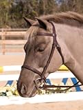 Henri De Rivel Club Fancy Raised Snaffle Bridle with Laced Reins