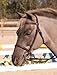 Henri De Rivel Club Fancy Raised Snaffle Bridle with Laced Reins