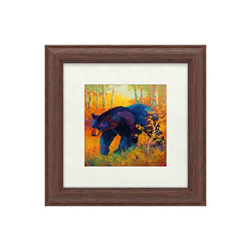 Trademark Fine Art in to in to Spring Black Bear by Marion Rose, White Matte, W…