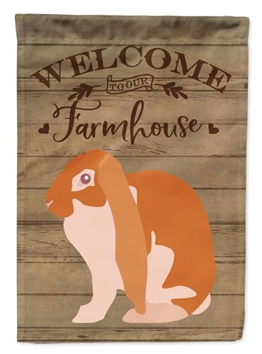 Caroline's Treasures CK6906GF English Lop Rabbit Welcome Garden Flag Mailbox Fl…