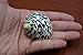 Polished Black Cyprea Pica Turbo Hermit Crab Sea Shell 1 1/2" - 2"