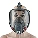 Holulo Organic Vapor Respirator Full Face Respirator Respiratory Protection Paint Chemical Formaldehyde Full w/Activated Carbon Respirator