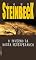 Livro O inverno da nossa desesperança