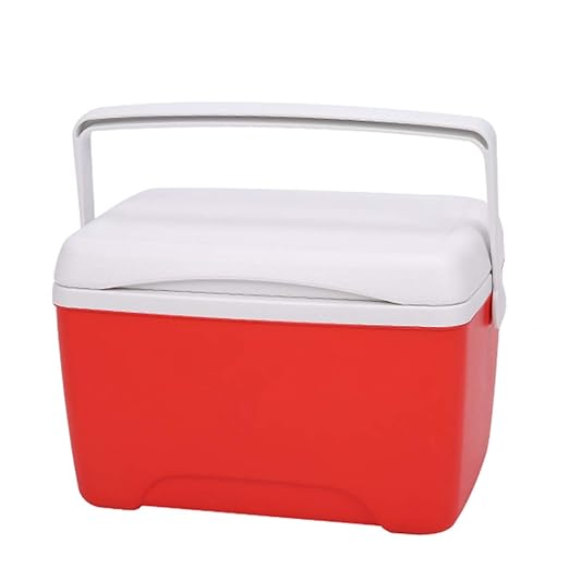 LIANGLIANG Nevera Camping Preservación del Calor Al Aire Libre ...