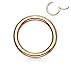 Forbidden Body Jewelry 316L Surgical Steel Hinged Seamless Nose Rings Hoop 14G 16G 18G, Diameter 6mm 8mm 10mm 12mm, Gold/Rose Gold/Silver/Black/Rainbow Colors.