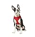 Gooby - Freedom Harness II, Choke Free Mesh Harness for Small Dogs with Microsuede Straps, Red, Medium