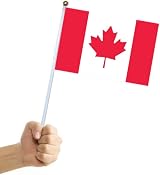 BigTree 50 Mini Canadian Flags on Sticks for Party & Events view 7