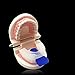 Wild Tribe Stop Snoring Solution - Pack of 2 Anti-snoring Nose Vents & Stop Teeth Grinding and Clenching - there are applied to Prevent Snoring & Correct Teeth