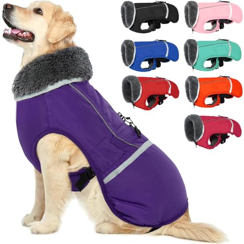 QBLEEV Hundejacke Winter, Hundemantel mit Bauchschutz, Hunde Wintermantel mit Rollkragen, Wasserdicht Hundebekleidung für Kleine Hunde, Lila S