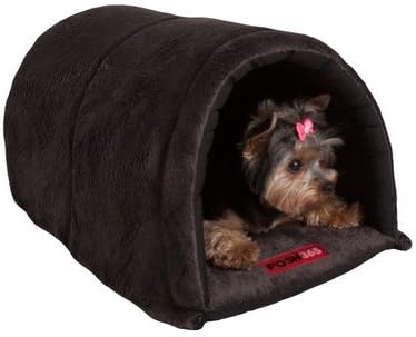 yorkie kennels