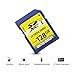 128GB Class 10 SDXC Flash Memory Card Full Size SD Card USH-I U1 Trail Camera Memory Card by Micro Center