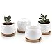 Jyukan White Ceramic Succulent Plant Pots, 2.4 Inch Small Succulent Cactus Planter with Drainage Hole, Bamboo Tray, Set of 6