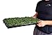 Microgreen Trays No Holes, 5 Pack, Extra Strength Black Shallow 1020 Tray Grow Microgreens Wheatgrass Fodder Sprouting Plants