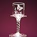 Armour Etch AR10-0101 Glass Etching Deluxe Kit, 1 Pack, Multicolor