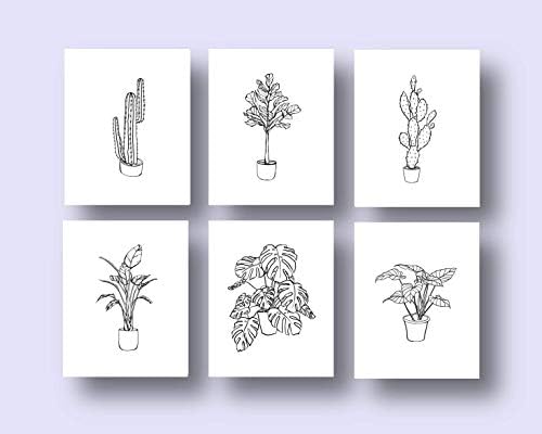 Ink Inc Potted Plants Botanical Prints Line Drawings Wall Art Minimal Black And White Home Decor Set Of 6 8x10 Matte Unframed Amazon Com Au Home