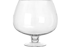 VANZACK Large Clear Bubble Bowl, Glass Fish Bowl Terrarium Globe Flower Vase Big Goblet Terrarium Hydroponic Container