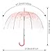 HAOCOO Cherry Blossoms Clear Umbrella,Bubble Transparent Dome Auto Open Umbrella Windproof for Outdoor Weddings (Pink)