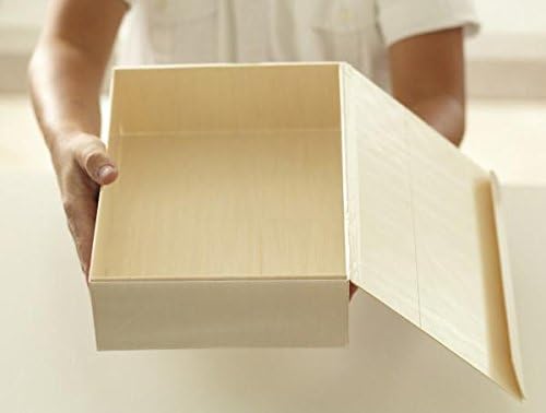 VerTerra Collapsible Box With Attached Lid - Large Rectangle (10)
