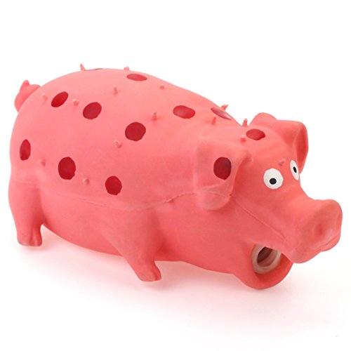 grunting pig dog toy